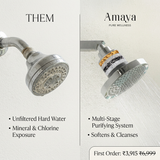The Filtered Showerhead